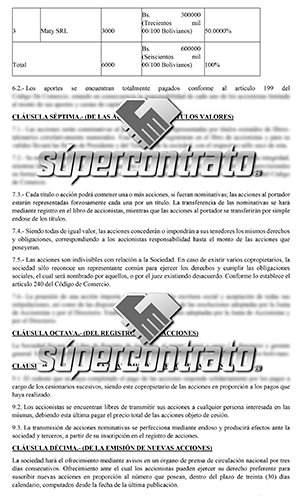 SOCIEDAD ANÓNIMA EN BOLIVIA PDF - SUPERCONTRATO