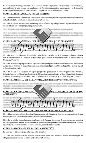 SOCIEDAD ANÓNIMA EN BOLIVIA PDF - SUPERCONTRATO