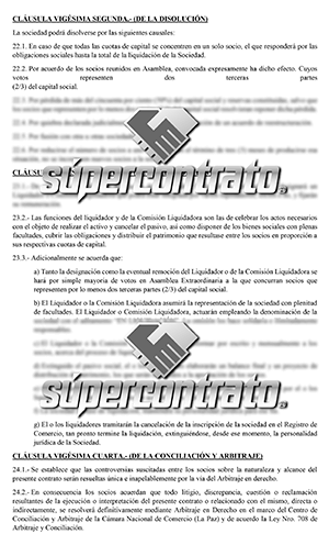 Sociedad de Responsabilidad Limitada en Bolivia pdf - Supercontrato